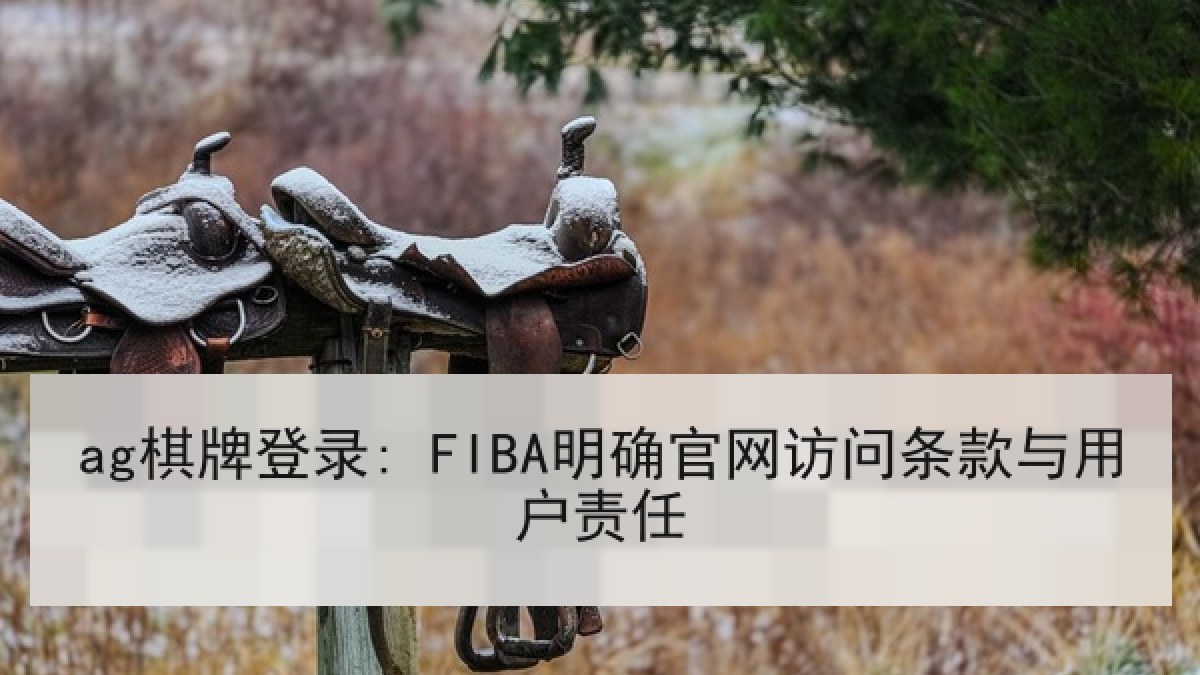 ag棋牌登录: FIBA明确官网访问条款与用户责任